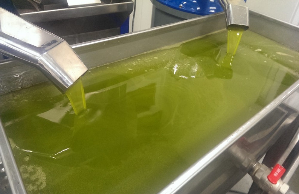 &laquo;&Pi;&alpha;ί&zeta;&epsilon;&iota;&raquo; &gamma;ύ&rho;&omega; &alpha;&pi;ό &tau;&alpha; 5 &epsilon;&upsilon;&rho;ώ &eta; &tau;&iota;&mu;ή &epsilon;&lambda;&alpha;&iota;&omicron;&lambda;ά&delta;&omicron;&upsilon; &sigma;&tau;&eta; &Lambda;&alpha;&kappa;&omega;&nu;ί&alpha;