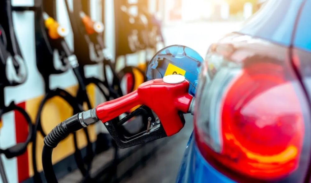 &Pi;&alpha;&rho;&alpha;&sigma;ύ&rho;&epsilon;&iota; &kappa;&alpha;&iota; &tau;&eta; &Lambda;&alpha;&kappa;&omega;&nu;ί&alpha; &tau;&omicron; &laquo;&rho;ά&lambda;&iota;&raquo; &sigma;&tau;&alpha; &kappa;&alpha;ύ&sigma;&iota;&mu;&alpha;