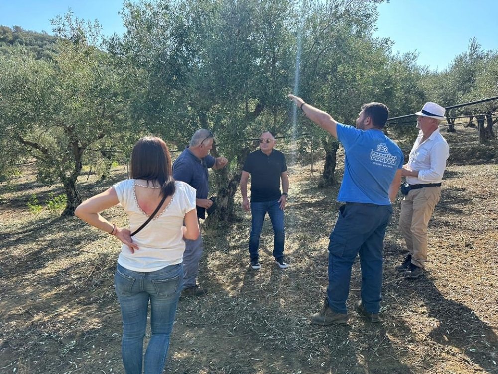 Ά&rho;&chi;&iota;&sigma;&epsilon; &eta; &kappa;&alpha;&tau;&alpha;&gamma;&rho;&alpha;&phi;ή &zeta;&eta;&mu;&iota;ώ&nu; &alpha;&pi;ό &tau;&omicron; &chi;&alpha;&lambda;ά&zeta;&iota; &sigma;&tau;&iota;&sigmaf; &pi;&epsilon;&rho;&iota;&omicron;&chi;έ&sigmaf; &tau;&omicron;&upsilon; &Delta;. &Mu;&omicron;&nu;&epsilon;&mu;&beta;&alpha;&sigma;ί&alpha;&sigmaf;
