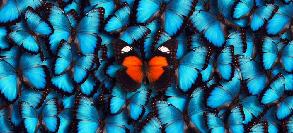 &Gamma;&iota;&alpha;&tau;ί &nu;&omicron;&iota;ώ&theta;&omicron;&upsilon;&mu;&epsilon; &laquo;&pi;&epsilon;&tau;&alpha;&lambda;&omicron;ύ&delta;&epsilon;&sigmaf;&raquo; &sigma;&tau;&omicron; &sigma;&tau;&omicron;&mu;ά&chi;&iota; ό&tau;&alpha;&nu; &epsilon;&rho;&omega;&tau;&epsilon;&upsilon;ό&mu;&alpha;&sigma;&tau;&epsilon;;