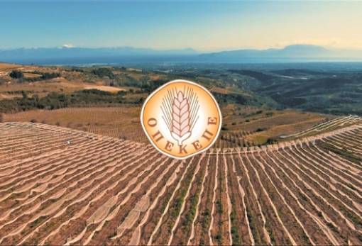 ΟΠΕΚΕΠΕ: Καταχώρηση ποσοτήτων στις συνδεδεμένες ενισχύσεις 2023