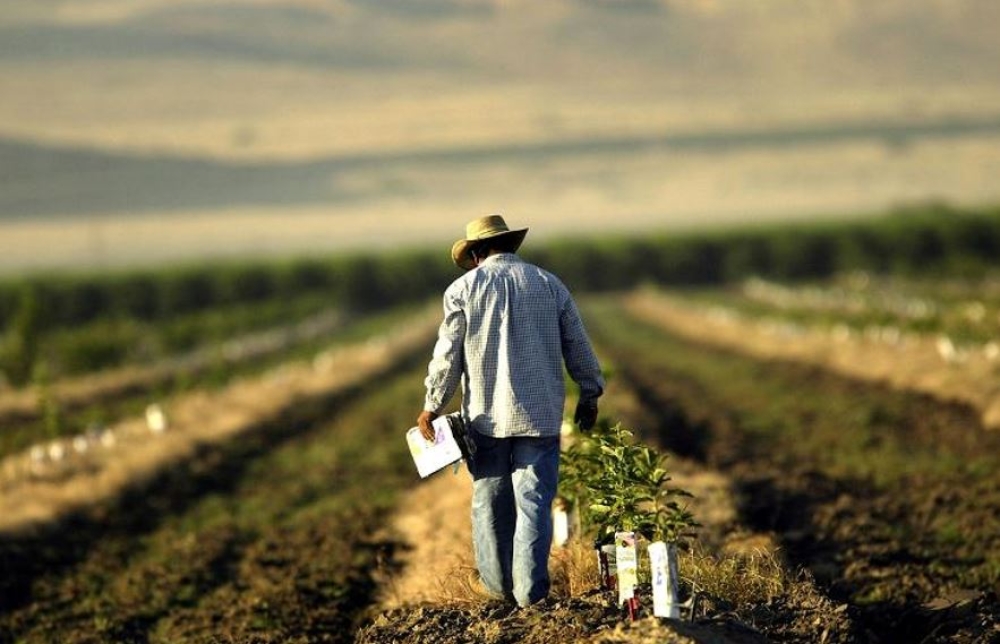 &Alpha;&gamma;&rho;&omicron;&tau;&iota;&kappa;ό&sigmaf; &kappa;ό&sigma;&mu;&omicron;&sigmaf; &sigma;&epsilon; &pi;ί&epsilon;&sigma;&eta;: &tau;&omicron; &laquo;&sigma;&tau;&omicron;ί&chi;&eta;&mu;&alpha;&raquo; &tau;&eta;&sigmaf; &Lambda;έ&sigma;&beta;&omicron;&upsilon; &kappa;&alpha;&iota; &tau;&alpha; &mu;&eta;&nu;ύ&mu;&alpha;&tau;&alpha; &sigma;&tau;ή&rho;&iota;&xi;&eta;&sigmaf; &alpha;&pi;ό &tau;&eta;&nu; &kappa;&upsilon;&beta;έ&rho;&nu;&eta;&sigma;&eta;