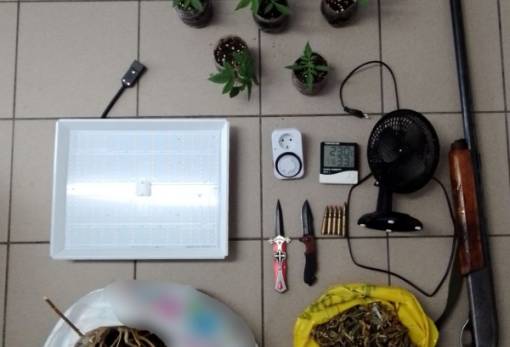 Σπάρτη: 5 δενδρύλλια κάνναβης τον έστειλαν πίσω απ’ τα κάγκελα