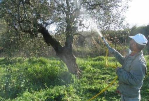 14 προσλήψεις γεωπόνων και εργατών στη Λακωνία