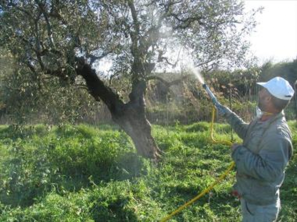 14 &pi;&rho;&omicron;&sigma;&lambda;ή&psi;&epsilon;&iota;&sigmaf; &gamma;&epsilon;&omega;&pi;ό&nu;&omega;&nu; &kappa;&alpha;&iota; &epsilon;&rho;&gamma;&alpha;&tau;ώ&nu; &sigma;&tau;&eta; &Lambda;&alpha;&kappa;&omega;&nu;ί&alpha;
