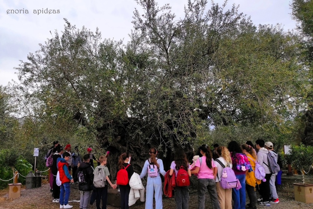 &Sigma;&tau;&alpha; &mu;&nu;&eta;&mu;&epsilon;ί&alpha; &tau;&eta;&sigmaf; &Alpha;&pi;&iota;&delta;έ&alpha;&sigmaf; &xi;&epsilon;&nu;&alpha;&gamma;ή&theta;&eta;&kappa;&epsilon;  &tau;&omicron; 2&omicron; &Delta;&eta;&mu;&omicron;&tau;&iota;&kappa;ό &Sigma;&chi;&omicron;&lambda;&epsilon;ί&omicron; &Sigma;&kappa;ά&lambda;&alpha;&sigmaf;