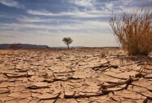 Κλίμα: Η «ανθρωπογενής» κλιματική αλλαγή προκάλεσε τον φονικό καύσωνα στη ζώνη του Σαχέλ της Αφρικής