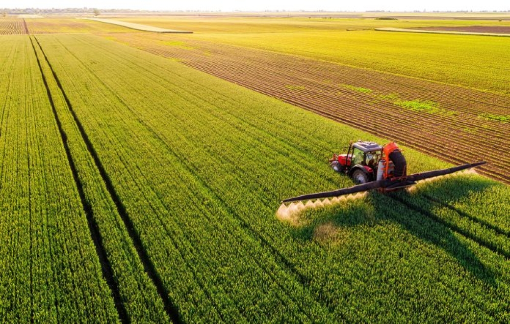 &Kappa;&alpha;&nu;&omicron;&nu;&iota;&kappa;ή &pi;&alpha;&rho;&alpha;&gamma;&omega;&gamma;ή &kappa;&alpha;&iota; &mu;&epsilon;&gamma;ά&lambda;&alpha; &mu;&epsilon;&gamma;έ&theta;&eta; &sigma;&tau;&iota;&sigmaf; &mu;&alpha;ύ&rho;&epsilon;&sigmaf; &epsilon;&lambda;&iota;έ&sigmaf;