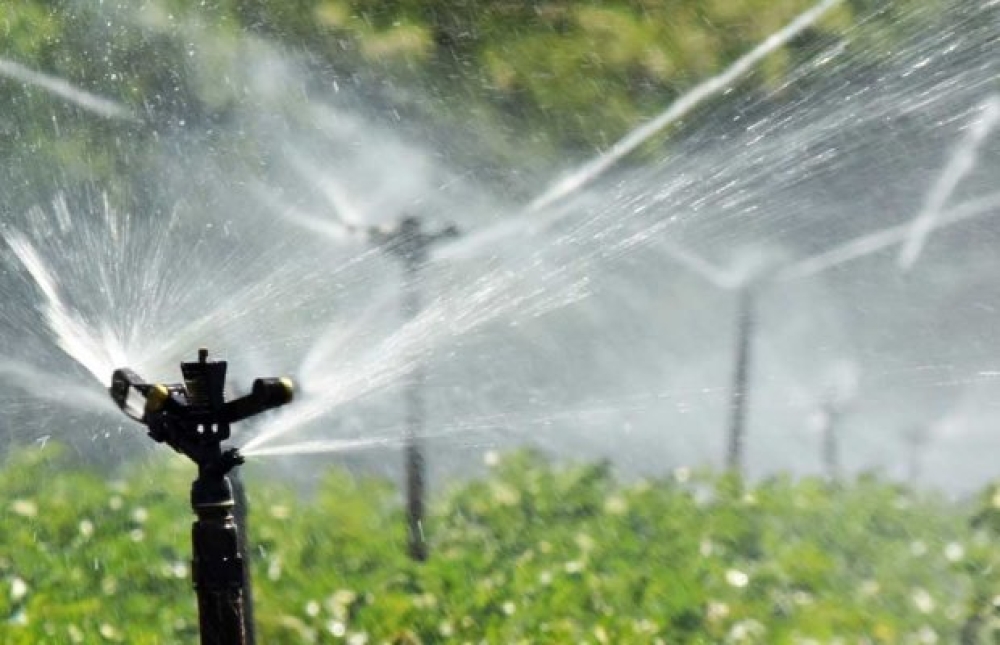 &Sigma;&upsilon;&nu;&tau;&omicron;&nu;&iota;&sigma;&mu;ό&sigmaf; &gamma;&iota;&alpha; &tau;&omicron; &alpha;&rho;&delta;&epsilon;&upsilon;&tau;&iota;&kappa;ό &delta;ί&kappa;&tau;&upsilon;&omicron; &Tau;&Omicron;&Epsilon;&Beta; &Phi;&omega;&kappa;ί&omega;&nu;&omicron;&sigmaf; &Zeta;&alpha;&chi;&alpha;&rho;&iota;ά