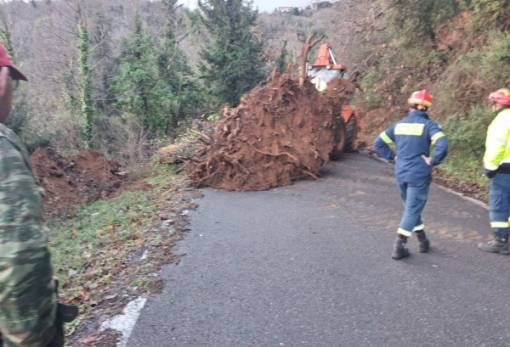 Δρόμους κάτω από χώματα και βράχια άφησαν οι βροχές στον βόρειο Ταΰγετο