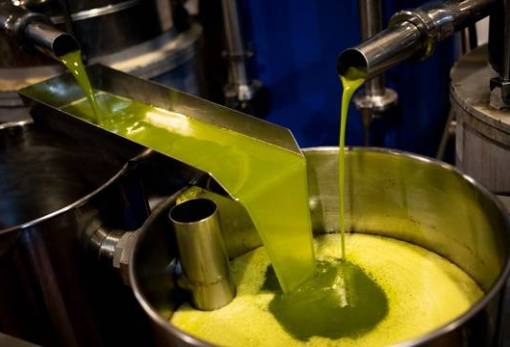 Ελαιόλαδο: Μείωση 32% στην παραγωγή της Ιταλίας