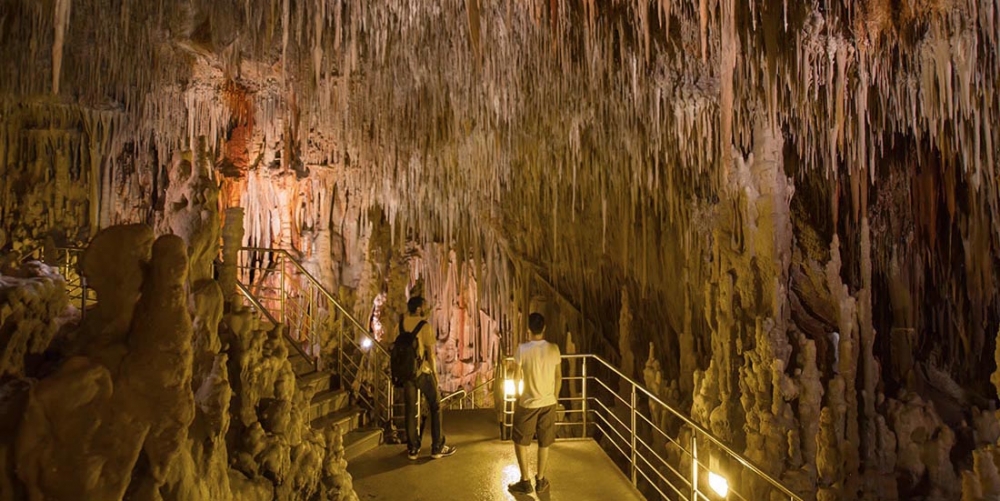 &Delta;ύ&omicron; &omicron;&kappa;&tau;ά&mu;&eta;&nu;&epsilon;&sigmaf; &pi;&rho;&omicron;&sigma;&lambda;ή&psi;&epsilon;&iota;&sigmaf; &alpha;&pi;ό &tau;&omicron;&nu; &Delta;. &Mu;&omicron;&nu;&epsilon;&mu;&beta;&alpha;&sigma;ί&alpha;&sigmaf;