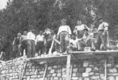 Άνθη της πέτρας