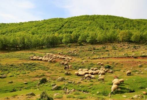 Αυτόχθονες φυλές: Μέχρι 25 Απριλίου η υποβολή παραστατικών συμμόρφωσης