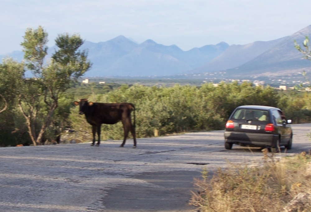 &Tau;ά&xi;&eta; &mu;&epsilon; &tau;&alpha; &alpha;&delta;έ&sigma;&pi;&omicron;&tau;&alpha; &beta;&omicron;&omicron;&epsilon;&iota;&delta;ή  &mu;&pi;&alpha;ί&nu;&epsilon;&iota; &sigma;&tau;&eta; &Mu;ά&nu;&eta;