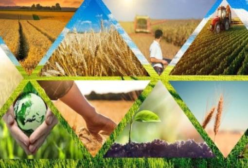 Τα LEADER στηρίζουν την οικονομία αγροτικών και μειονεκτικών περιοχών λέει η ΕΕ