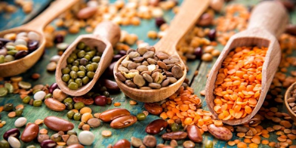 6 &tau;&rho;&omicron;&phi;έ&sigmaf; &chi;&omega;&rho;ί&sigmaf; &eta;&mu;&epsilon;&rho;&omicron;&mu;&eta;&nu;ί&alpha; &lambda;ή&xi;&eta;&sigmaf;. &Tau;&rho;&omega;&sigmaf; &kappa;&alpha;&iota; &pi;ί&nu;&epsilon;&iota;&sigmaf; ά&phi;&omicron;&beta;&alpha;