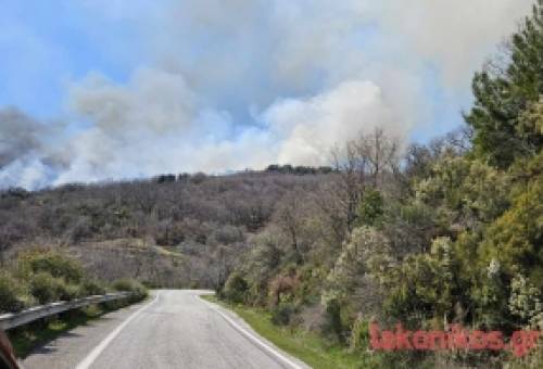 Καλύτερη η εικόνα στη φωτιά του Ταϋγέτου