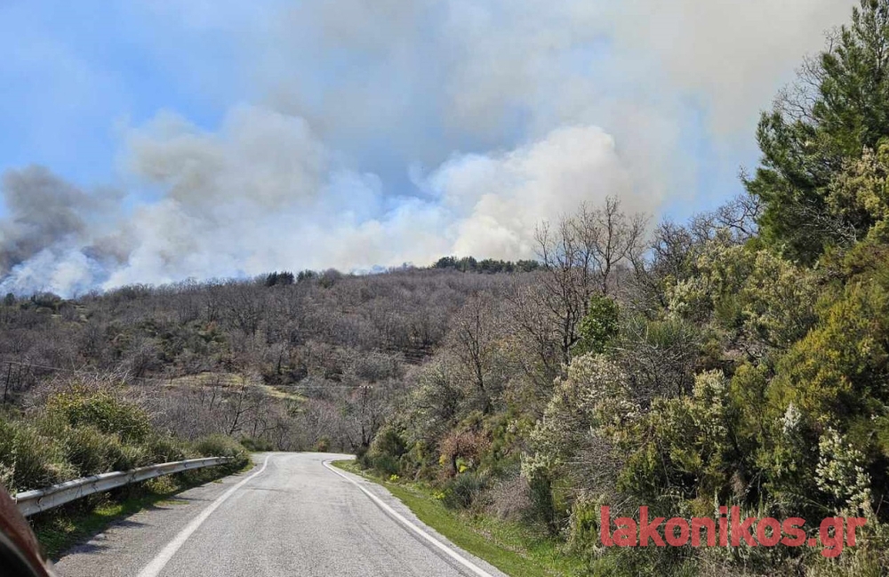 &Kappa;&alpha;&lambda;ύ&tau;&epsilon;&rho;&eta; &eta; &epsilon;&iota;&kappa;ό&nu;&alpha; &sigma;&tau;&eta; &phi;&omega;&tau;&iota;ά &tau;&omicron;&upsilon; &Tau;&alpha;ϋ&gamma;έ&tau;&omicron;&upsilon;
