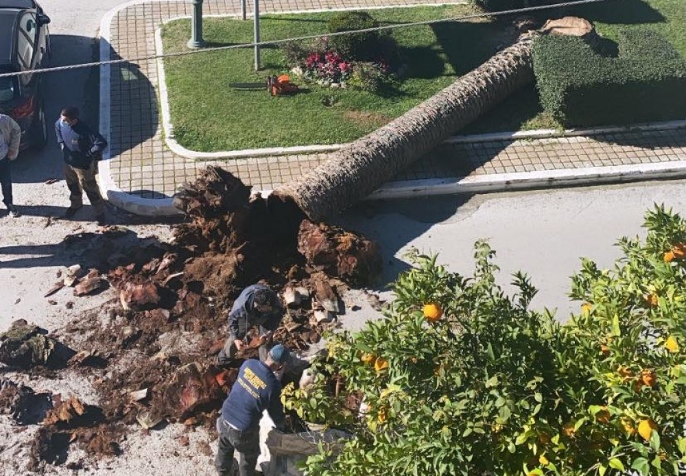 &Eta; &alpha;&rho;&chi;ή &tau;&omicron;&upsilon; &tau;έ&lambda;&omicron;&upsilon;&sigmaf; &gamma;&iota;&alpha; &tau;&omicron;&upsilon;&sigmaf; &phi;&omicron;ί&nu;&iota;&kappa;&epsilon;&sigmaf; &tau;&eta;&sigmaf; &Sigma;&pi;ά&rho;&tau;&eta;&sigmaf; (&Phi;&Omega;&Tau;&Omicron;)