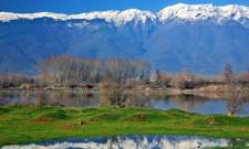 &Delta;&Epsilon;&Epsilon;: &laquo;&Phi;&rho;έ&nu;&omicron;&raquo; &sigma;&epsilon; έ&rho;&gamma;&alpha; &sigma;&tau;&iota;&sigmaf; &pi;&epsilon;&rho;&iota;&omicron;&chi;έ&sigmaf; Natura &chi;&omega;&rho;ί&sigmaf; &sigma;&tau;ό&chi;&omicron;&upsilon;&sigmaf; &pi;&rho;&omicron;&sigma;&tau;&alpha;&sigma;ί&alpha;&sigmaf;