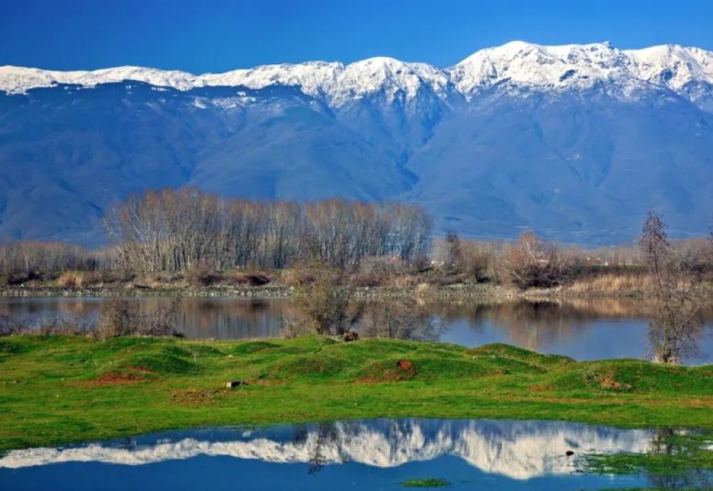 &Delta;&Epsilon;&Epsilon;: &laquo;&Phi;&rho;έ&nu;&omicron;&raquo; &sigma;&epsilon; έ&rho;&gamma;&alpha; &sigma;&tau;&iota;&sigmaf; &pi;&epsilon;&rho;&iota;&omicron;&chi;έ&sigmaf; Natura &chi;&omega;&rho;ί&sigmaf; &sigma;&tau;ό&chi;&omicron;&upsilon;&sigmaf; &pi;&rho;&omicron;&sigma;&tau;&alpha;&sigma;ί&alpha;&sigmaf;