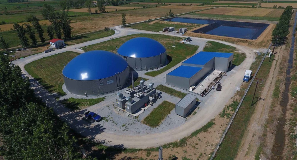 &Omicron;&mu;ό&theta;&upsilon;&mu;&eta; &alpha;&nu;&tau;ί&delta;&rho;&alpha;&sigma;&eta; &kappa;&alpha;&tau;ά &tau;&eta;&sigmaf; &mu;&omicron;&nu;ά&delta;&alpha;&sigmaf; &beta;&iota;&omicron;&alpha;&epsilon;&rho;ί&omicron;&upsilon; &sigma;&tau;&omicron; &Xi;&eta;&rho;&omicron;&kappa;ά&mu;&pi;&iota;