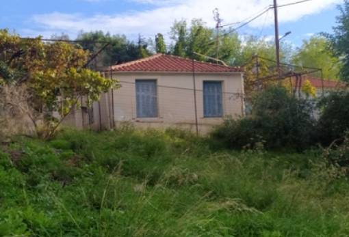 Το δικό σας σχόλιο: Σπίτι στον λόφο: Αρχιδάμου 51, Σπάρτη