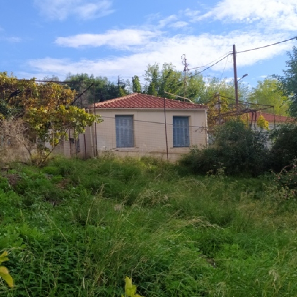 &Tau;&omicron; &delta;&iota;&kappa;ό &sigma;&alpha;&sigmaf; &sigma;&chi;ό&lambda;&iota;&omicron;: &Sigma;&pi;ί&tau;&iota; &sigma;&tau;&omicron;&nu; &lambda;ό&phi;&omicron;: &Alpha;&rho;&chi;&iota;&delta;ά&mu;&omicron;&upsilon; 51, &Sigma;&pi;ά&rho;&tau;&eta;