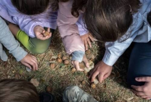 Οκτώβριος στη Βαμβακού