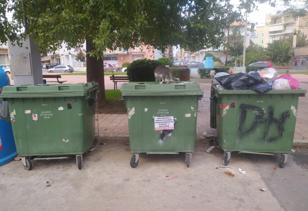 &Tau;&omicron; &delta;&iota;&kappa;ό &sigma;&alpha;&sigmaf; &sigma;&chi;ό&lambda;&iota;&omicron;: &Sigma;&upsilon;&lambda;&lambda;&omicron;&gamma;&iota;&kappa;ή &epsilon;&upsilon;&theta;ύ&nu;&eta;