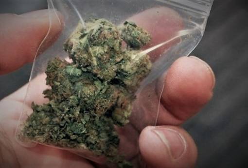 Στα κρατητήρια 25χρονος για κάνναβη