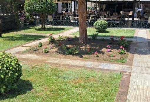 Παρεμβάσεων καλλωπισμού …η συνέχεια στη Σπάρτη