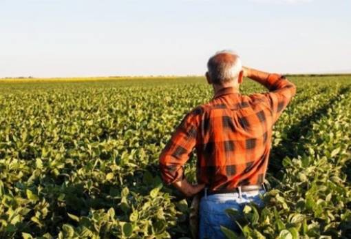 Στις 28 Ιανουαρίου οι συντάξεις αγροτών για τον Φλεβάρη