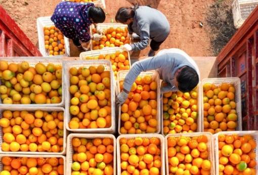 Υπεγράφη το πρόγραμμα για μεταποίηση, εμπορία, ανάπτυξη γεωργικών προϊόντων