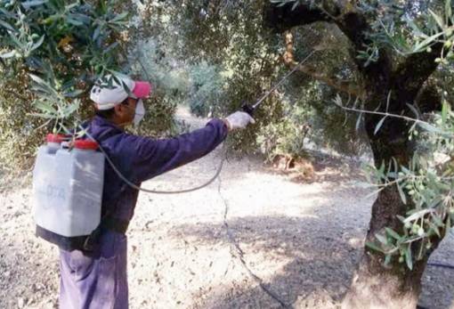 Αποφάσεις της Περιφερειακής Επιτροπής για τη δακοκτονία στη Λακωνία