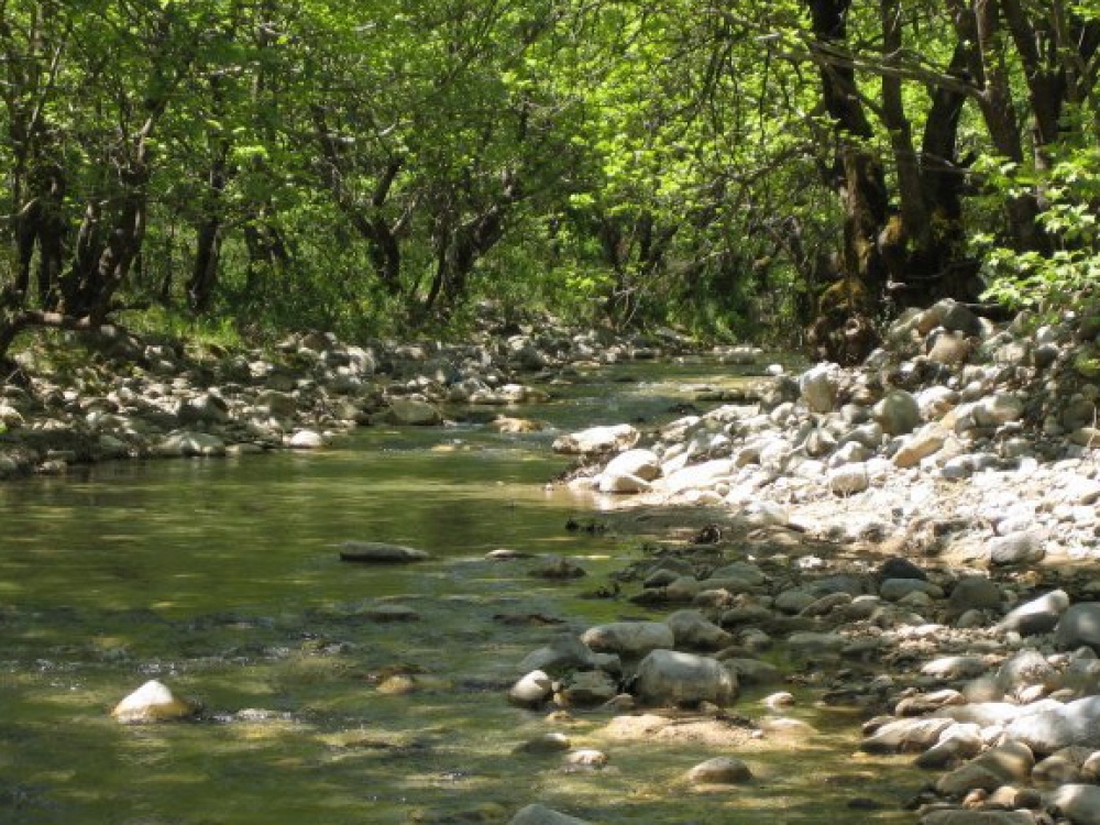 &Tau;&alpha; &Tau;&rho;&iota;&pi;&omicron;&tau;ά&mu;&alpha;&tau;&alpha;