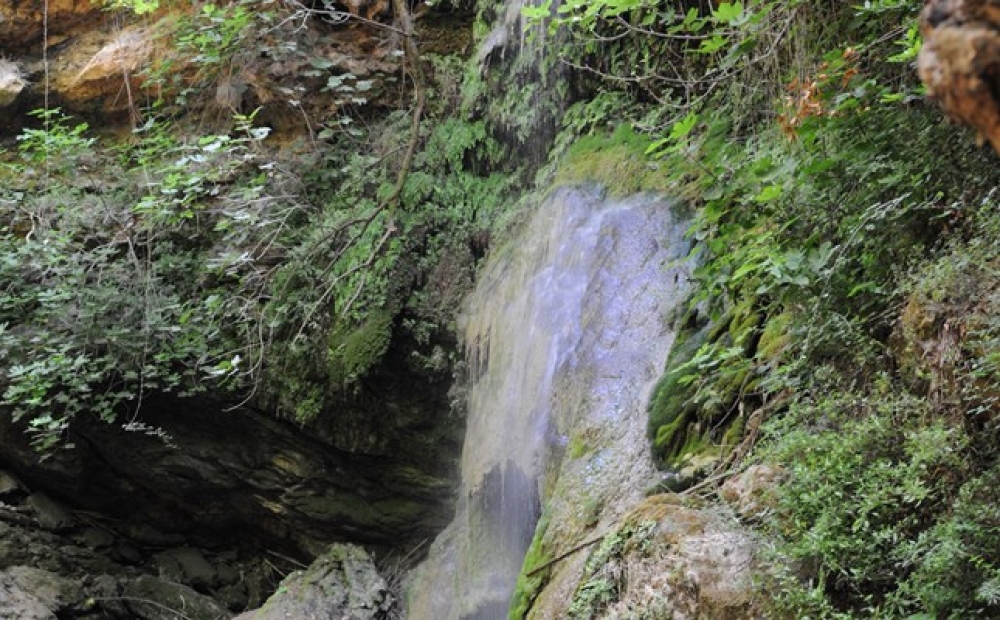 &Kappa;ύ&theta;&eta;&rho;&alpha;, &Nu;&epsilon;&rho;ά&iota;&delta;&alpha; ή &Phi;ό&nu;&iota;&sigma;&sigma;&alpha;;