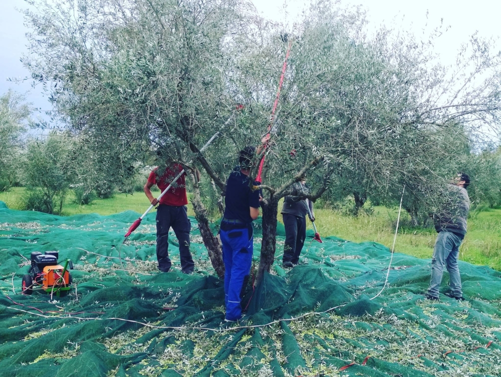 &Alpha;&gamma;ώ&nu;&alpha;&sigmaf; &gamma;&iota;&alpha; &alpha;&nu;&alpha;&pi;&lambda;ή&rho;&omega;&sigma;&eta; &epsilon;&iota;&sigma;&omicron;&delta;ή&mu;&alpha;&tau;&omicron;&sigmaf; &alpha;&pi;ό &epsilon;&lambda;&alpha;&iota;&omicron;&pi;&alpha;&rho;&alpha;&gamma;&omega;&gamma;&omicron;ύ&sigmaf; &sigma;&tau;&eta; &Lambda;&alpha;&kappa;&omega;&nu;ί&alpha;