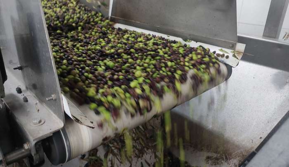 &laquo;&Kappa;&alpha;&tau;&alpha;&sigma;&tau;&rho;&omicron;&phi;&iota;&kappa;ή &eta; &alpha;&iota;&phi;&nu;ί&delta;&iota;&alpha; &delta;&iota;&alpha;&kappa;&omicron;&pi;ή &lambda;&epsilon;&iota;&tau;&omicron;&upsilon;&rho;&gamma;ί&alpha;&sigmaf; &tau;&omega;&nu; &epsilon;&lambda;&alpha;&iota;&omicron;&tau;&rho;&iota;&beta;&epsilon;ί&omega;&nu;&raquo; &sigma;&tau;&eta; &Lambda;&alpha;&kappa;&omega;&nu;ί&alpha;