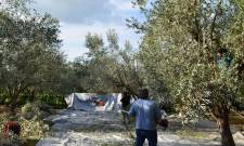 &Sigma;&upsilon;&sigma;&kappa;έ&pi;&tau;&omicron;&nu;&tau;&alpha;&iota; &kappa;&alpha;&iota; &pi;&alpha;ί&rho;&nu;&omicron;&upsilon;&nu; &tau;&iota;&sigmaf; &alpha;&pi;&omicron;&phi;ά&sigma;&epsilon;&iota;&sigmaf; &tau;&omicron;&upsilon; &omicron;&iota; &alpha;&gamma;&rho;&omicron;&tau;&omicron;&kappa;&tau;&eta;&nu;&omicron;&tau;&rho;ό&phi;&omicron;&iota; &tau;&omicron;&upsilon; &Delta;. &Epsilon;&upsilon;&rho;ώ&tau;&alpha;