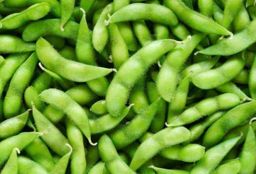 Σόγια: Μπαίνει στις Συνδεδεμένες από το 2025