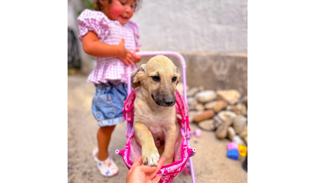 &Chi;&nu;&omicron;&upsilon;&delta;&omega;&tau;έ&sigmaf; &delta;&iota;&alpha;&delta;&rho;&omicron;&mu;έ&sigmaf;: &Nu;&alpha; &sigma;&alpha;&sigmaf; &sigma;&upsilon;&sigma;&tau;ή&sigma;&omicron;&upsilon;&mu;&epsilon; &tau;&eta;&nu; &Tau;&epsilon;&rho;έ&zeta;&alpha;