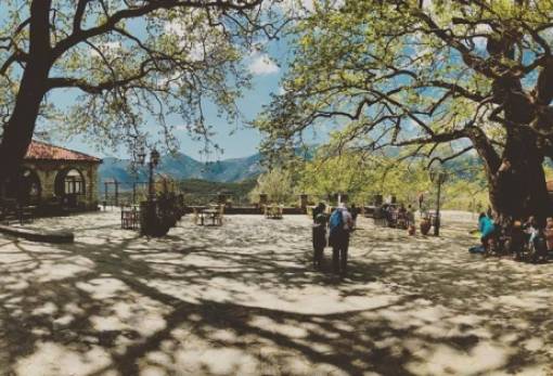 Στα τέλη Οκτώβρη η 15η «Γιορτή του Κάστανου» στην Άρνα Λακωνίας!