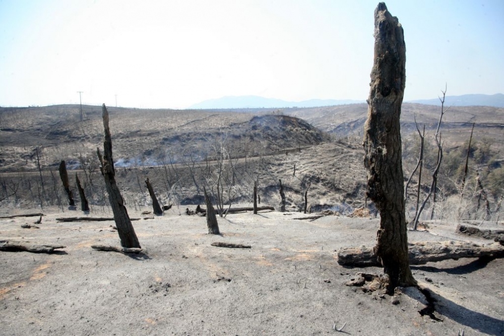 &Sigma;&tau;&omicron; 1/10 &omicron;&iota; &phi;&epsilon;&tau;&iota;&nu;έ&sigmaf; &kappa;&alpha;&mu;έ&nu;&epsilon;&sigmaf;  &epsilon;&kappa;&tau;ά&sigma;&epsilon;&iota;&sigmaf; &sigma;&epsilon; &sigma;&chi;έ&sigma;&eta; &mu;&epsilon; &pi;έ&rho;&upsilon;&sigma;&iota;