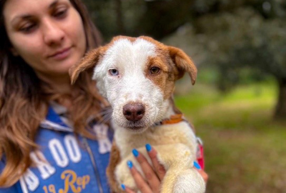 &Upsilon;&iota;&omicron;&theta;&epsilon;&tau;ή&sigma;&tau;&epsilon; έ&nu;&alpha; &alpha;&delta;&epsilon;&sigma;&pi;&omicron;&tau;ά&kappa;&iota;!