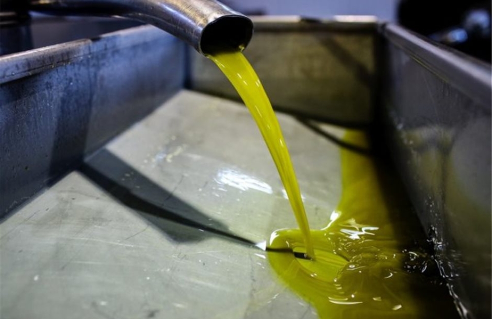 &Sigma;&tau;&omicron;&upsilon;&sigmaf; &laquo;&alpha;&iota;&theta;έ&rho;&epsilon;&sigmaf;&raquo; &tau;&omicron; &epsilon;&lambda;&alpha;&iota;ό&lambda;&alpha;&delta;&omicron; &sigma;&tau;&eta; &Lambda;&alpha;&kappa;&omega;&nu;ί&alpha;