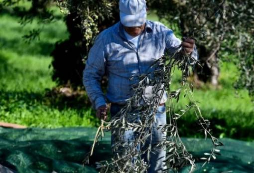 Συσκέπτονται για το μέλλον τους οι αγροτοκτηνοτρόφοι της Σπάρτης