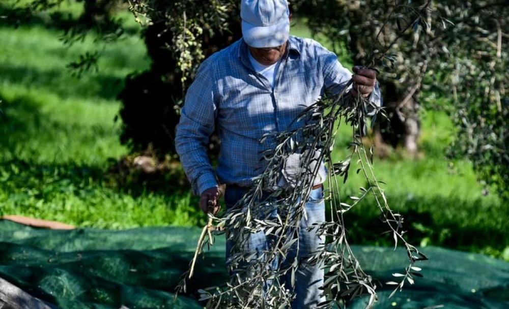 &Sigma;&upsilon;&sigma;&kappa;έ&pi;&tau;&omicron;&nu;&tau;&alpha;&iota; &gamma;&iota;&alpha; &tau;&omicron; &mu;έ&lambda;&lambda;&omicron;&nu; &tau;&omicron;&upsilon;&sigmaf; &omicron;&iota; &alpha;&gamma;&rho;&omicron;&tau;&omicron;&kappa;&tau;&eta;&nu;&omicron;&tau;&rho;ό&phi;&omicron;&iota; &tau;&eta;&sigmaf; &Sigma;&pi;ά&rho;&tau;&eta;&sigmaf;
