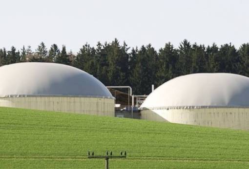 Ενέργεια από κοπριά θα τροφοδοτεί το Πανεπιστήμιο Κορνέλ